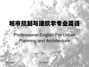 城市规划与建筑学专业英语ppt课件.ppt