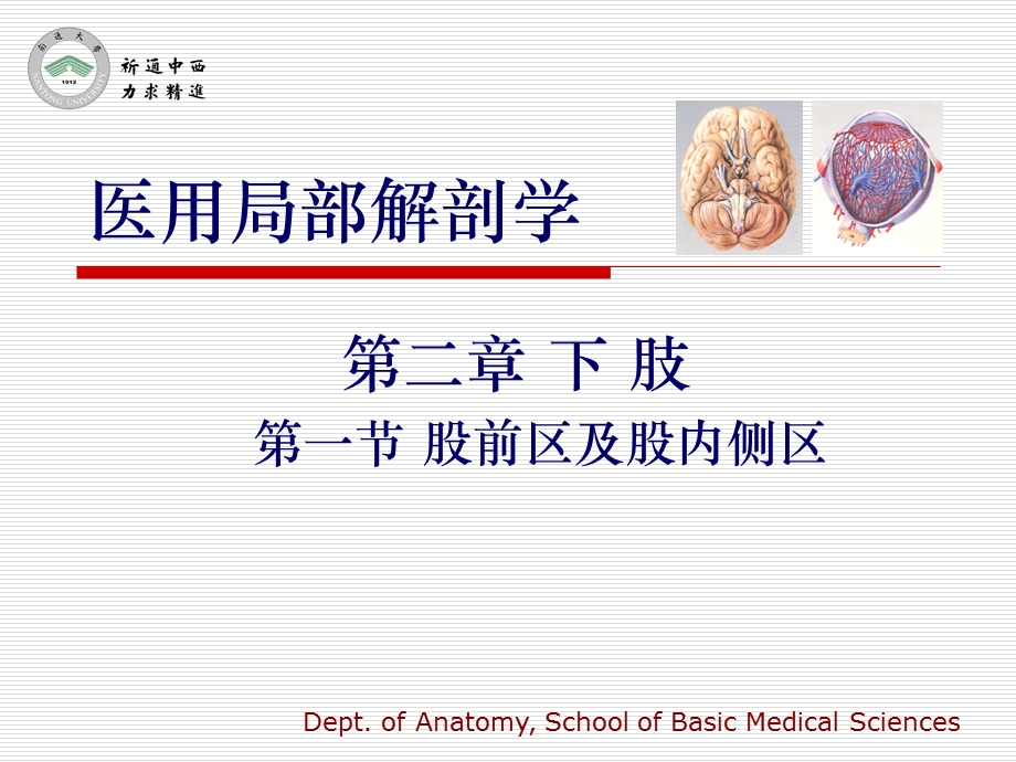 医用局部解剖学 股前区及股内侧区ppt课件.ppt_第1页