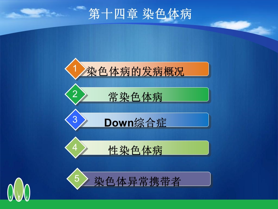 医学遗传学第十四章染色体病ppt课件.ppt_第2页