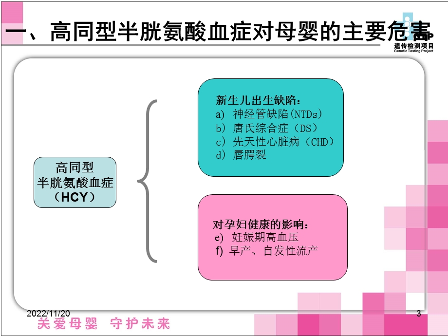 叶酸利用能力遗传检测ppt课件.ppt_第3页