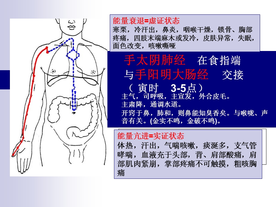 十二经络走向图ppt课件.ppt_第3页