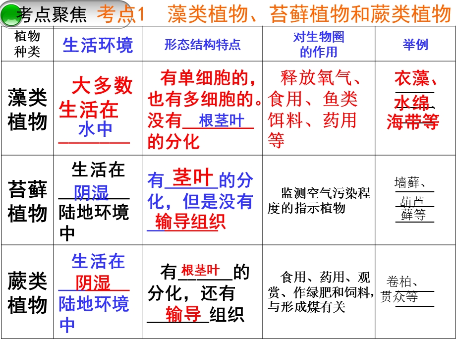 鲁科版生物留下313种子植物课件(共53张).pptx_第2页