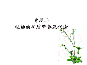 高级植物生理学—专题二课件.ppt