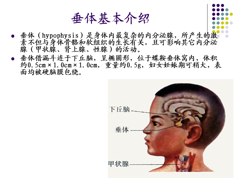 垂体病变MRI诊断思路(详细版)ppt课件.ppt_第2页