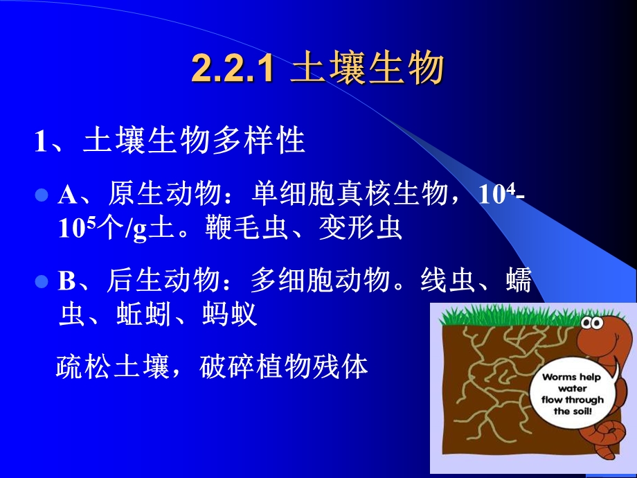 土壤生物与土壤有机质ppt课件.ppt_第2页