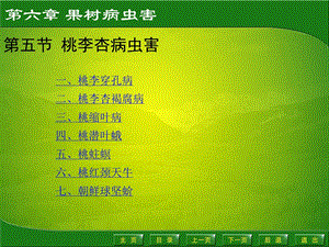 园艺植物病虫害防治ppt课件.ppt