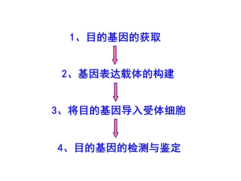 基因工程的基本操作程序公开课ppt课件.ppt_第2页