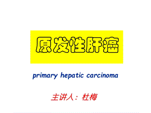 医学ppt课件原发性肝癌讲课.ppt