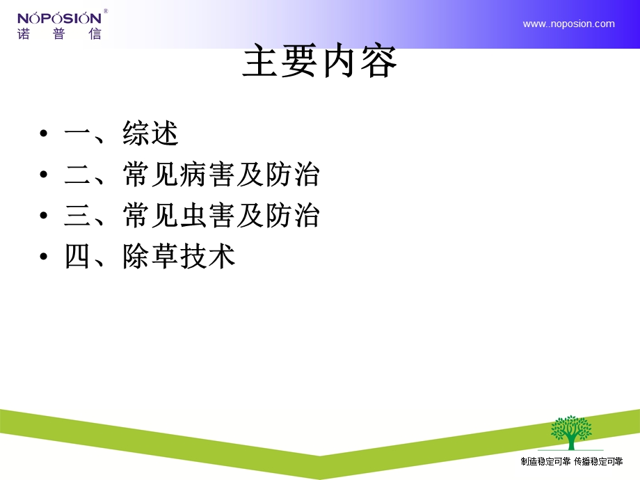 叶菜类病虫害植保知识ppt课件.ppt_第2页