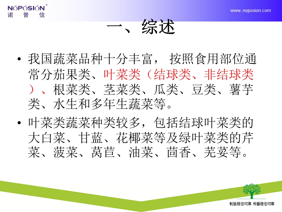 叶菜类病虫害植保知识ppt课件.ppt_第3页