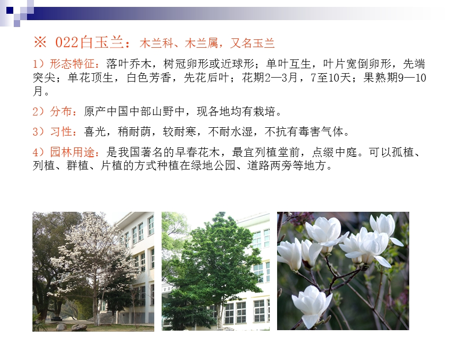 园林树木学ppt课件.ppt_第3页