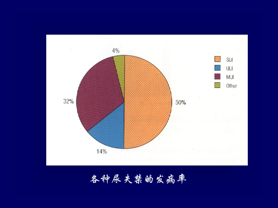 压力性尿失禁的非手术治疗ppt课件.ppt_第3页