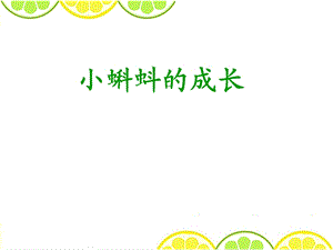 北师大版二年级数学下册《小蝌蚪的成长》公开课精品ppt课件.ppt