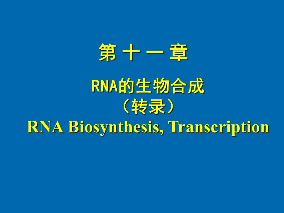 因子的转录终止ppt课件.ppt_第1页