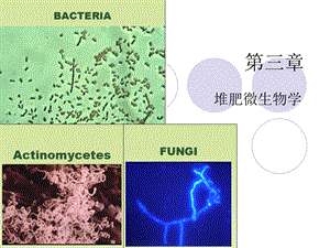 堆肥科学与技术 第三章ppt课件.ppt