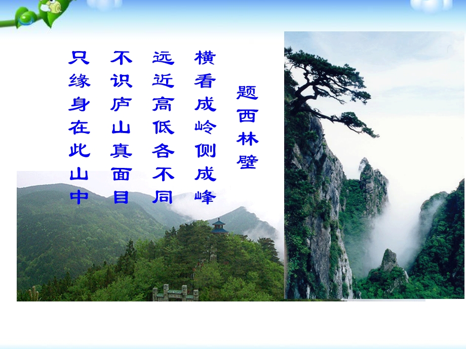 北师大版四年级数学下册第四单元《看一看》ppt课件.ppt_第1页