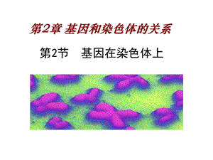 基因在染色体上 ppt课件.ppt