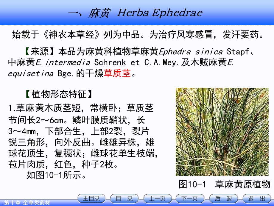 天然药物学全草类ppt课件.ppt_第2页