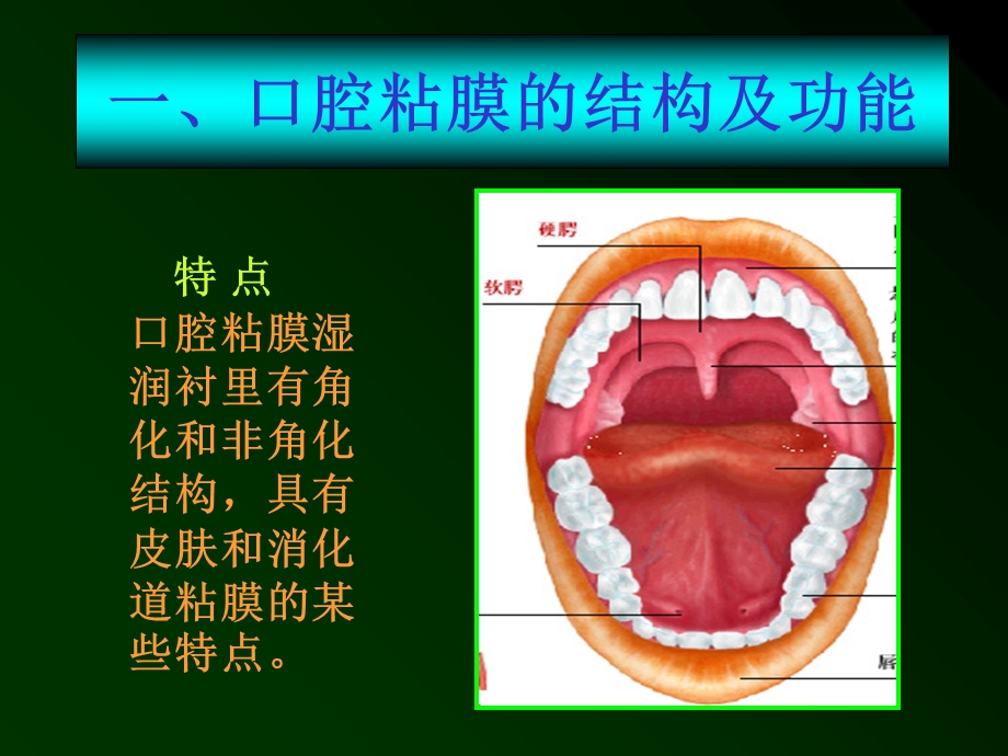 口腔溃疡诊疗和鉴别ppt课件.ppt_第2页