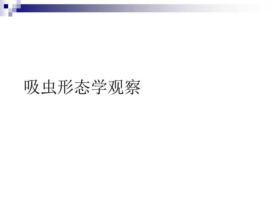 吸虫形态学观察ppt课件.ppt_第1页