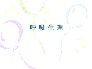 呼吸系统生理学ppt课件.ppt