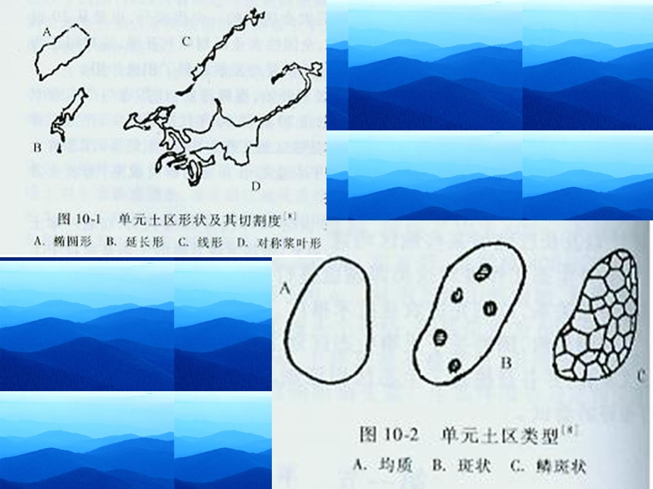 土壤生态学ppt课件 第七章 土壤生态分区概述.ppt_第3页