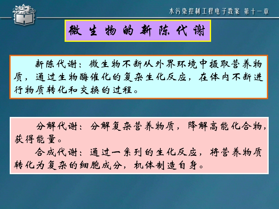 同济大学水污染控制工程PPT课件 11章 反应动力学.ppt_第3页