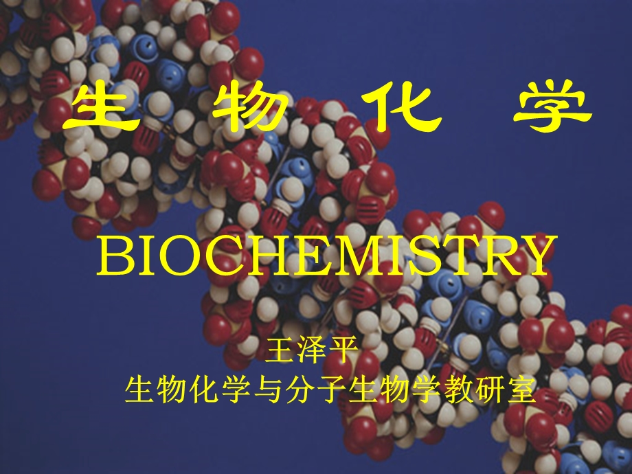 医学生物化学ppt课件.ppt_第1页