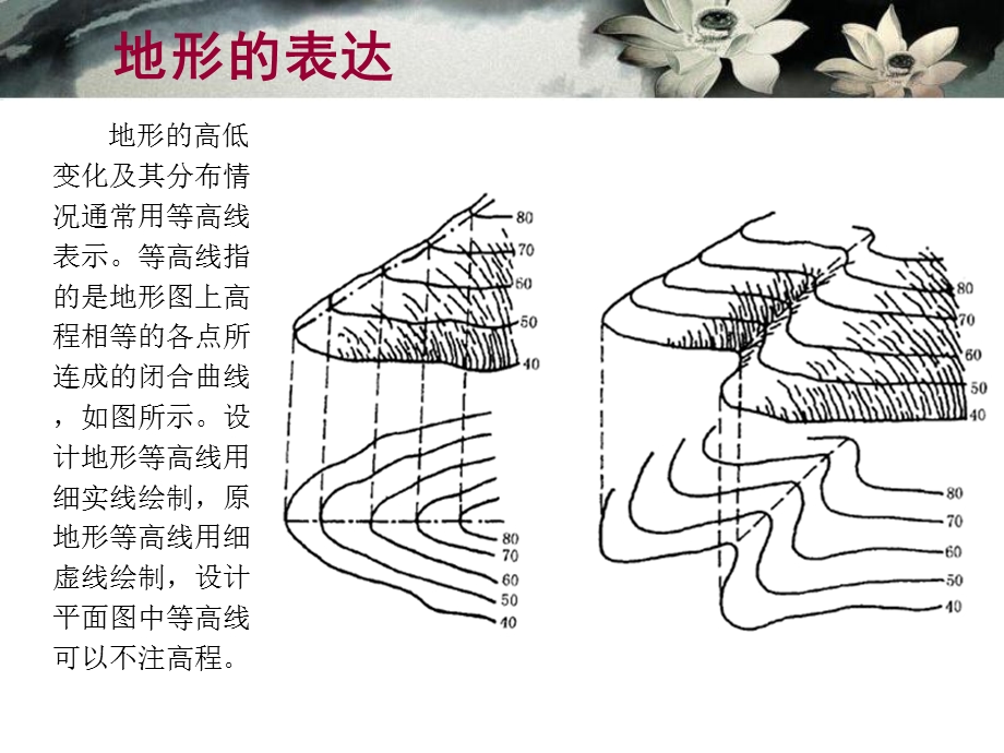 园林造景艺术和技巧造景基础ppt课件.ppt_第3页