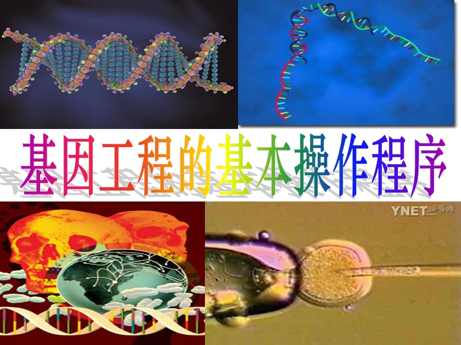 原核细胞的基因结构补充内容ppt课件.ppt_第1页