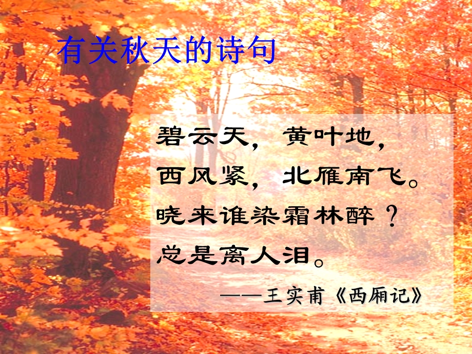 叶燕成ppt课件：《故都的秋》.ppt_第2页