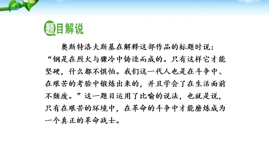 名著导读 《钢铁是怎样炼成的》(摘抄和做笔记)ppt课件.pptx_第2页