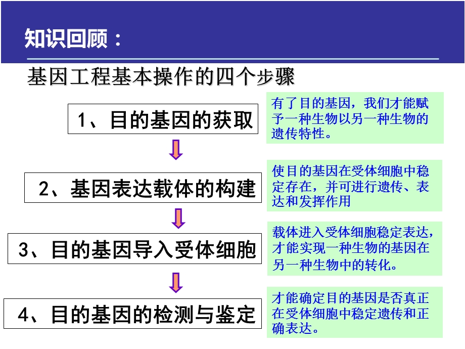 基因工程操作步骤ppt课件.ppt_第2页