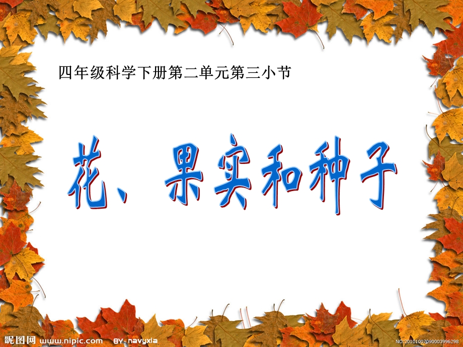 四年级科学下册 花、果实和种子(上课ppt课件).ppt_第1页