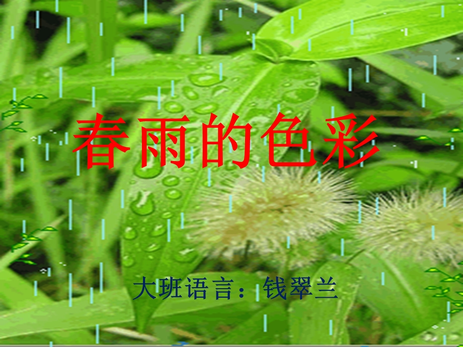 大班语言活动春雨的色彩(PPT课件).ppt_第1页