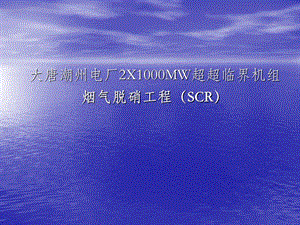 大唐潮州2X1000MW电厂 脱硝培训讲义ppt课件.ppt