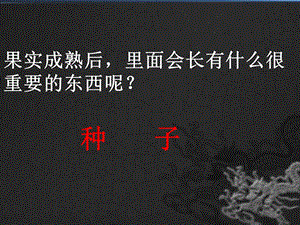 四年级科学下册《把种子散播到远处》ppt课件.ppt