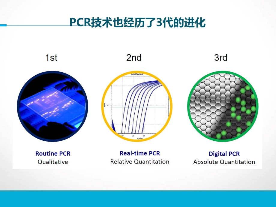 基因检测技术在肺癌精准治疗中的应用 靶向捕获测序与ddPCR比较ppt课件.ppt_第3页