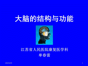 大脑结构与功能课件.ppt