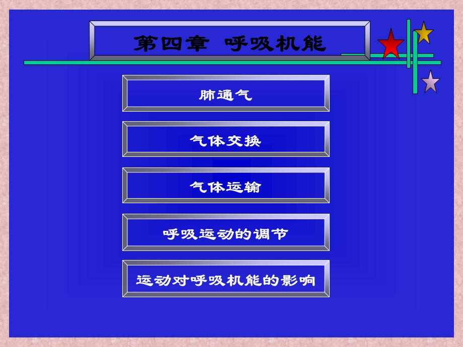 呼吸机能课件.ppt_第3页