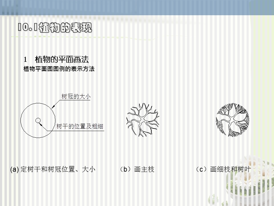 园林景观设计手绘表现技法ppt课件.ppt_第3页