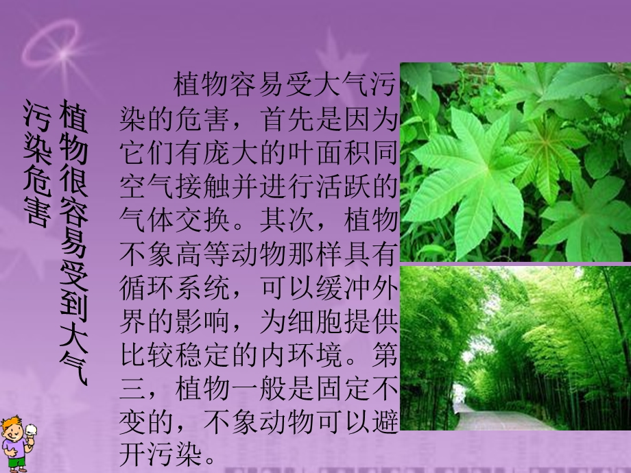 大气污染对植物的危害ppt课件.ppt_第2页