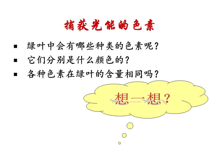 叶绿素的提取和分离实验ppt课件.ppt_第2页