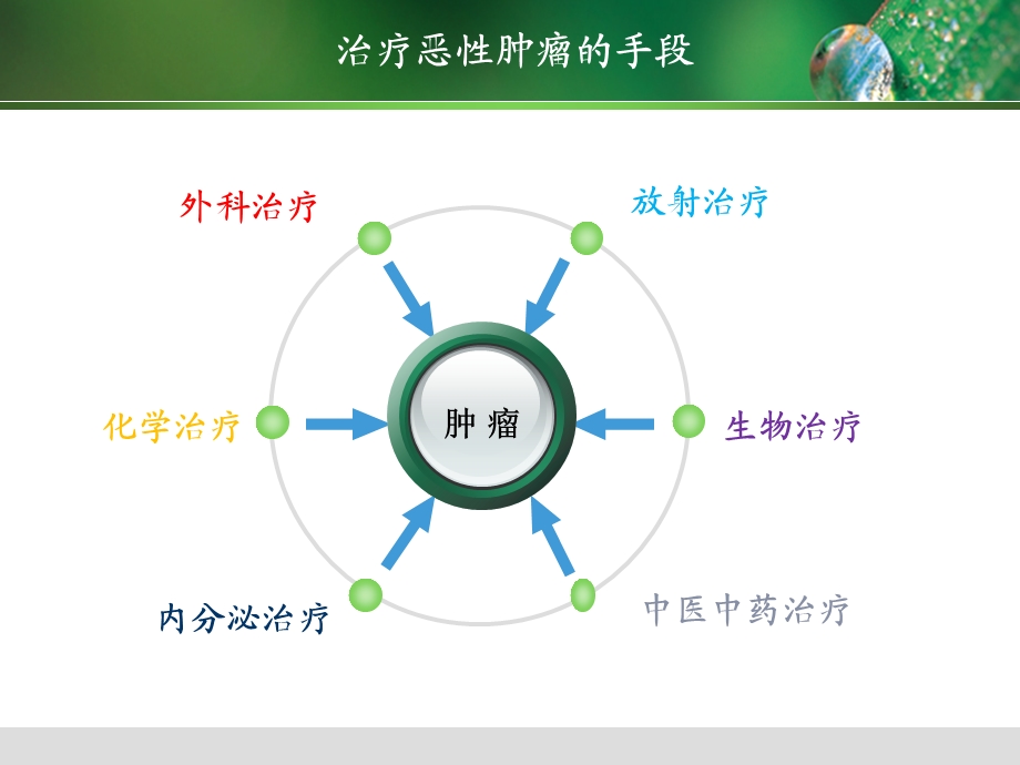 恶性肿瘤的多学科综合治疗ppt课件.ppt_第2页