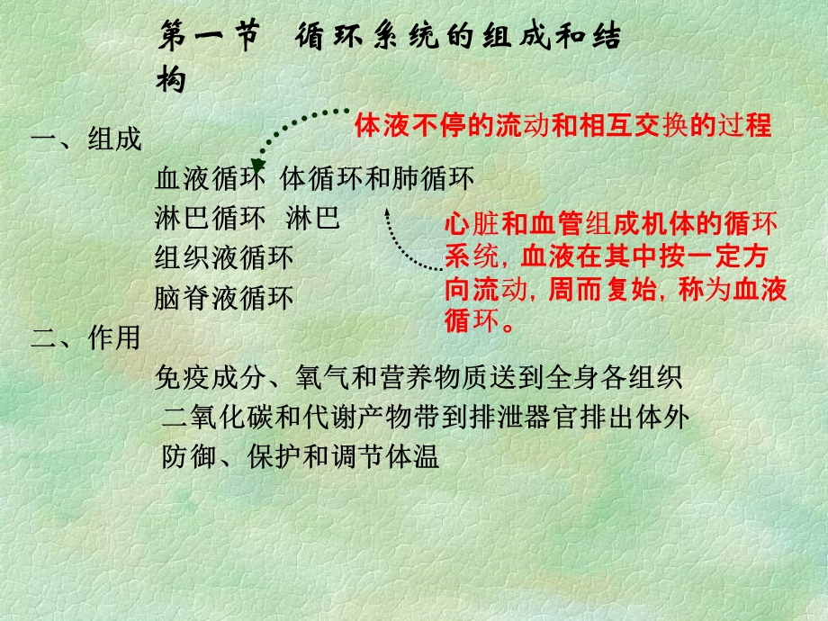 循环系统的结构和功能ppt课件.ppt_第2页