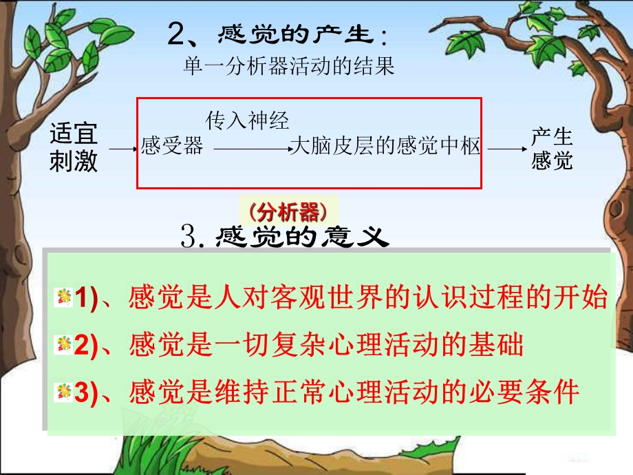 心理学感知觉ppt课件.ppt_第3页