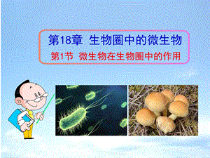 微生物在生物圈中的作用ppt课件.ppt