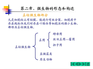 微生物的形态和构造ppt课件.ppt