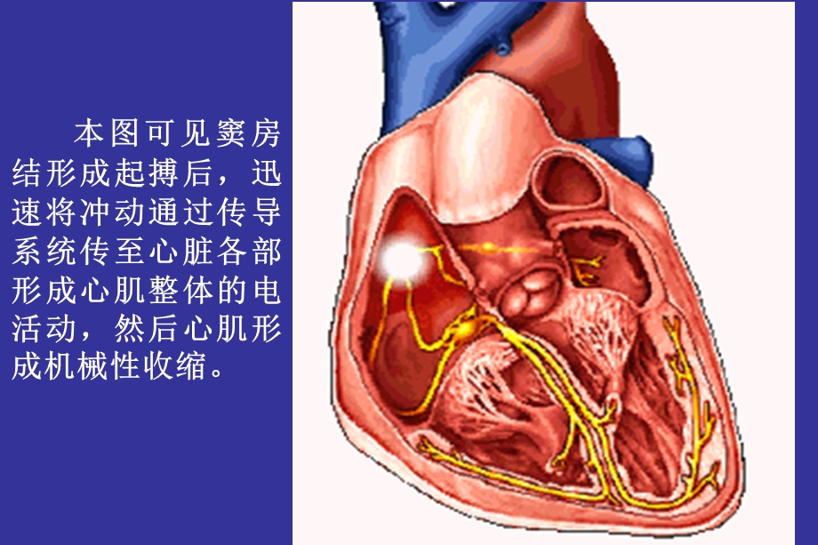 心电图绝好PPT课件.ppt_第3页