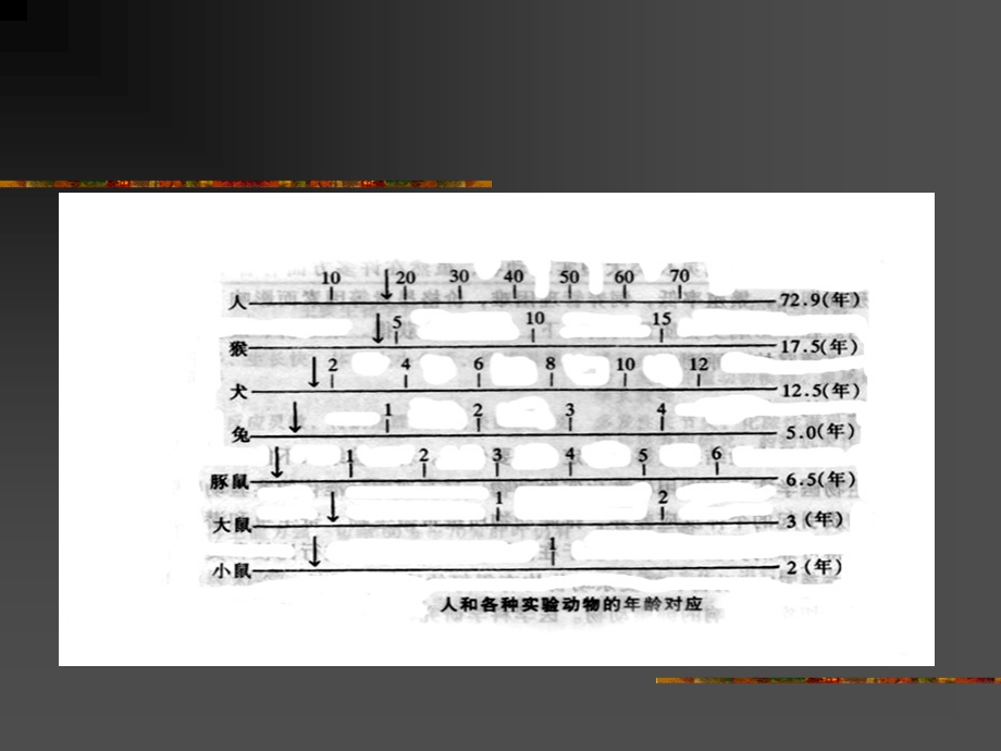 实验动物选择ppt课件.ppt_第3页